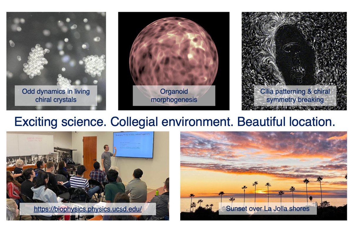 [Pls retweet] Interested in pursuing a PhD in biophysics or active matter? The UCSD Biological Physics PhD program is open for application! biophysics.physics.ucsd.edu (1/n)