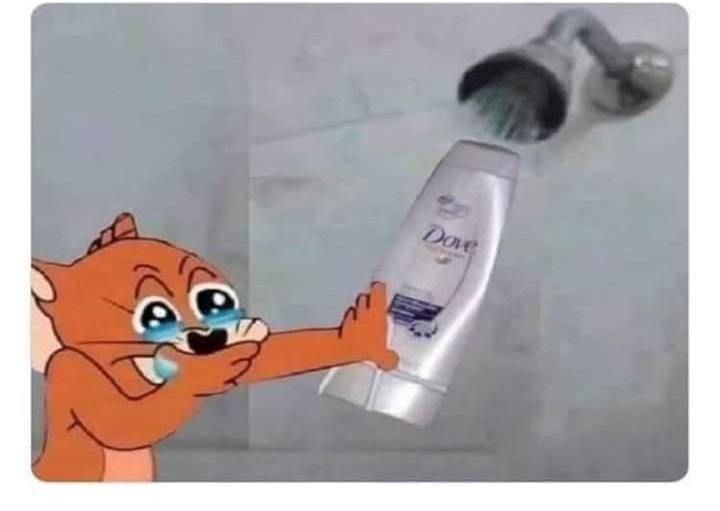El Verdadero chileno