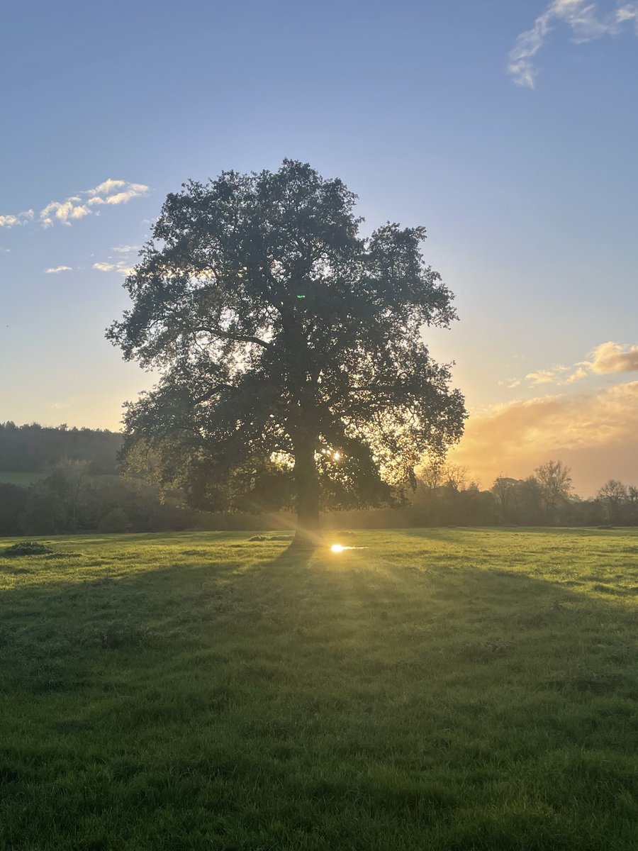 Richard Thomas Hudson tweet media