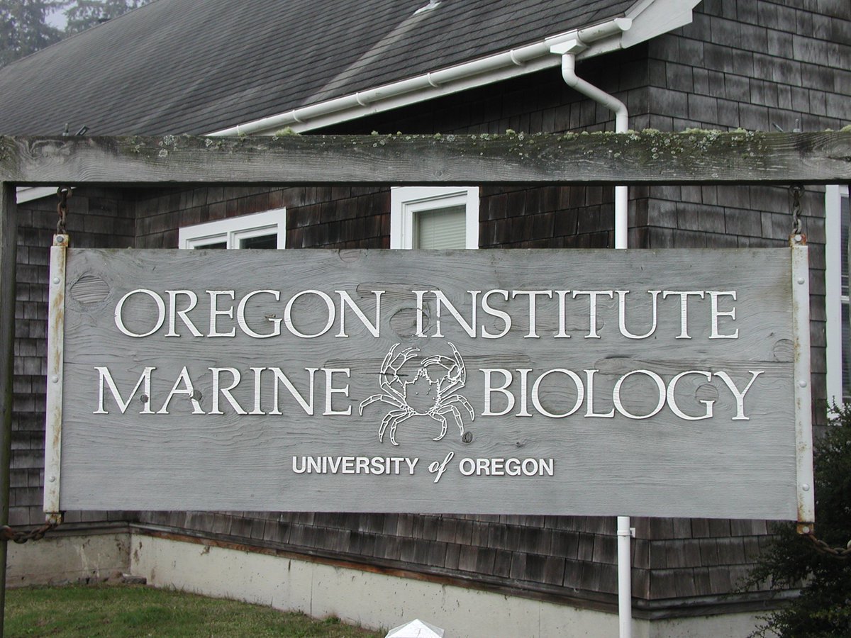 UO Advocates tweet media