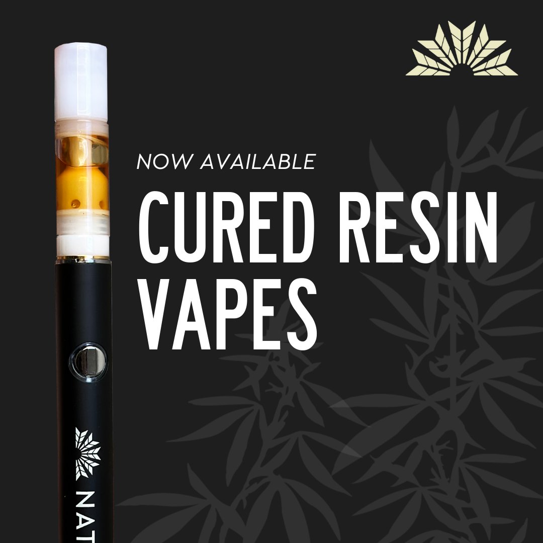 NativeSunMA's tweet photo. Introducing Native Sun Cured Resin Vapes! 
☀️ We carefully cure all of our flower, giving it time to develop it's full flavor, aroma and cannabinoid profile. 
This isn't the easy way to do it, but we know it's worth it. And we hope you agree. https://t.co/Nof55DuEkq