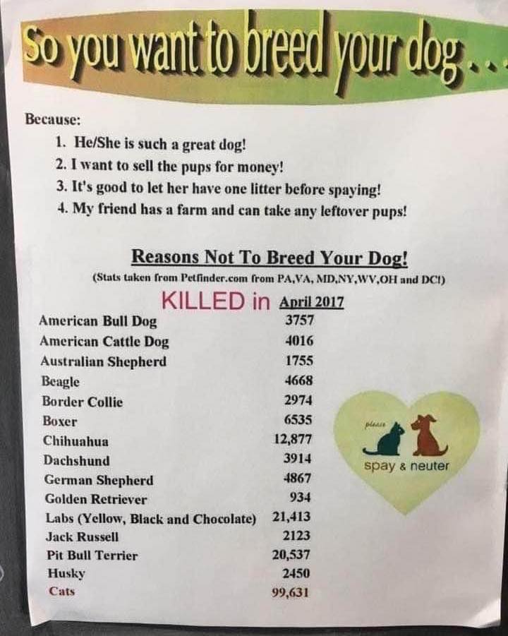 Please STOP breeding dogs
These stats are old, from 2017
But it is much Uglier now

It is Hip to Snip