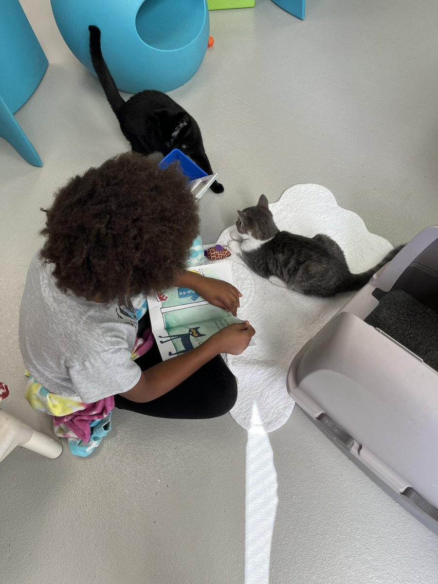 Tusculum View 2nd tweet media