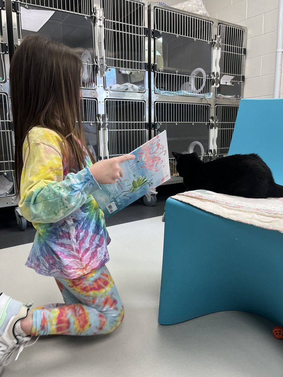 Tusculum View 2nd tweet media