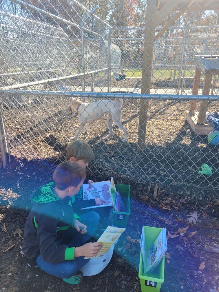 Tusculum View 2nd tweet media