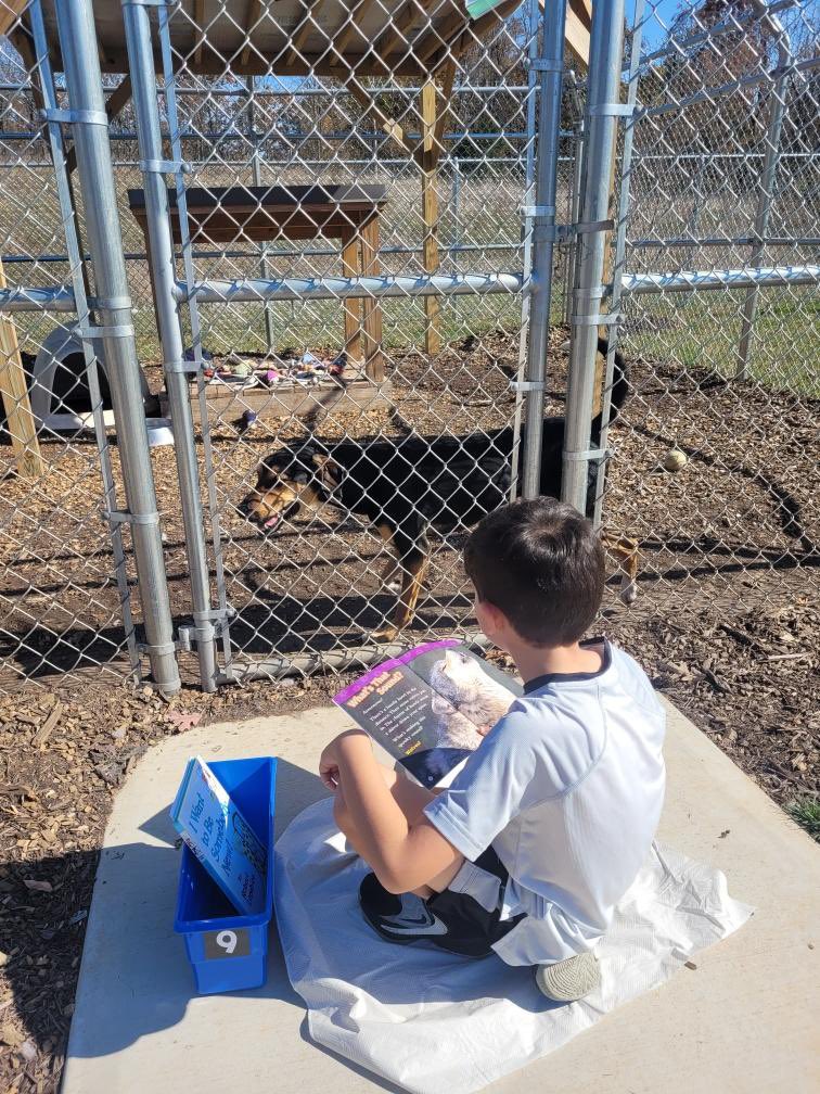 Tusculum View 2nd tweet media