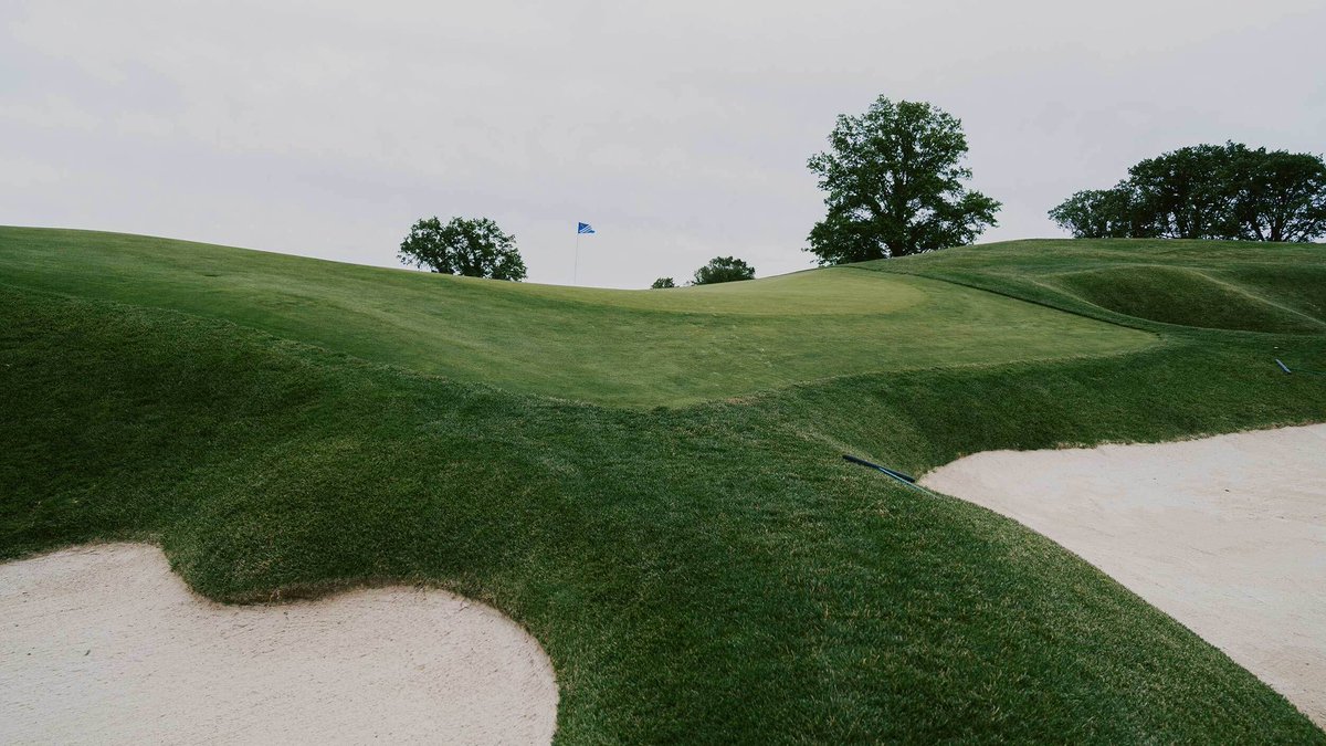 Fried Egg Golf tweet media