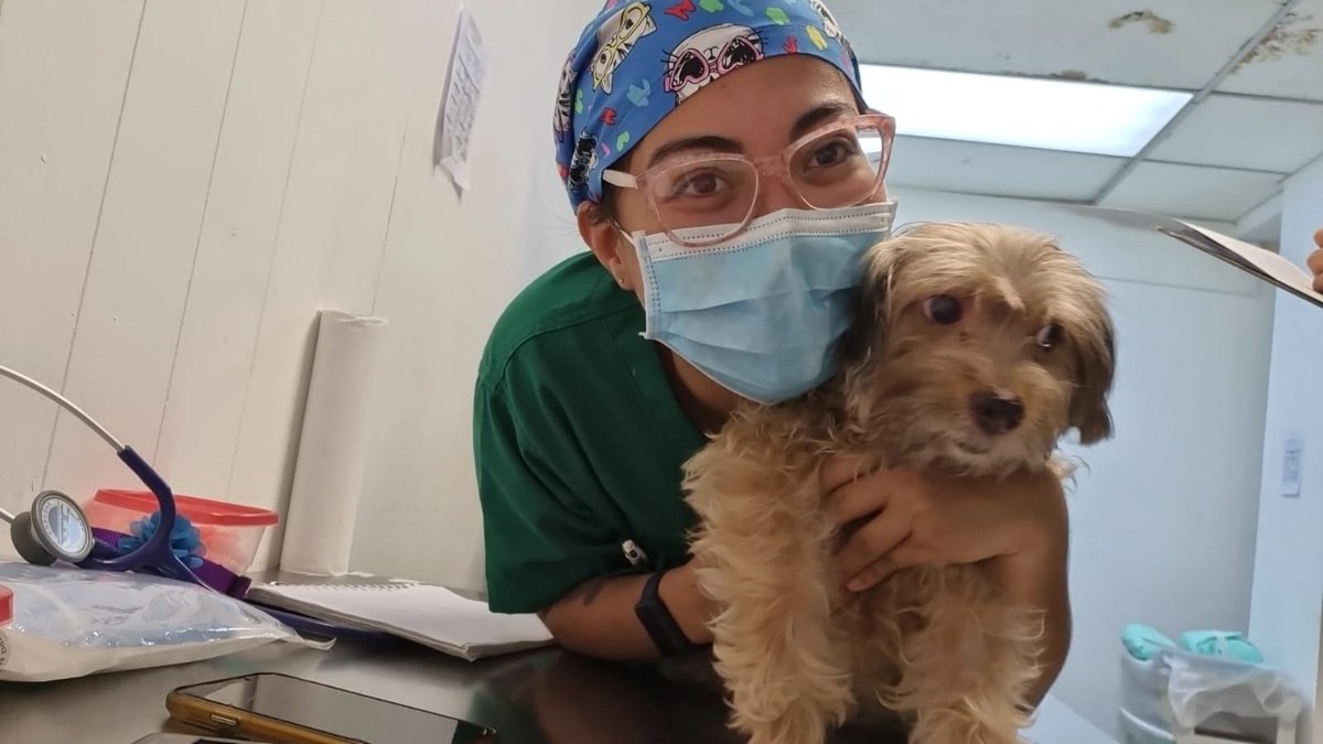 _MaleValiente_'s tweet image. Con mi pacienta de hoy 👊🏼🐶🩺🩷
#ciru1 #OVH