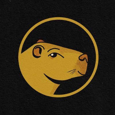 AndBriceno's tweet photo. Long live to $CHIGÜI tokens @latokenia https://t.co/ezE5lvqYQS