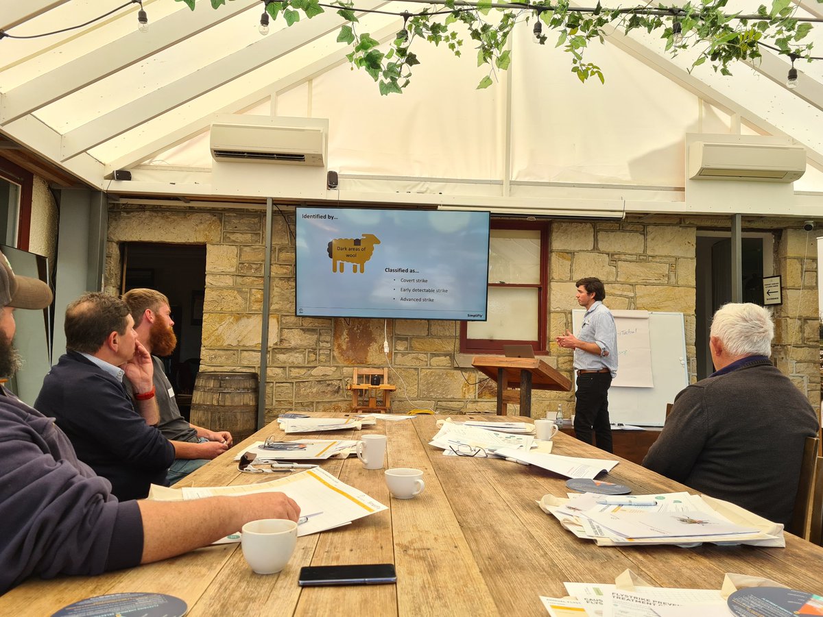 Dr Tim Gole presenting AWI's new SimpliFly strategic flystrike management workshops. Bothwell today, Campbell Town tomorrow. @woolinnovation @4FlocksSake