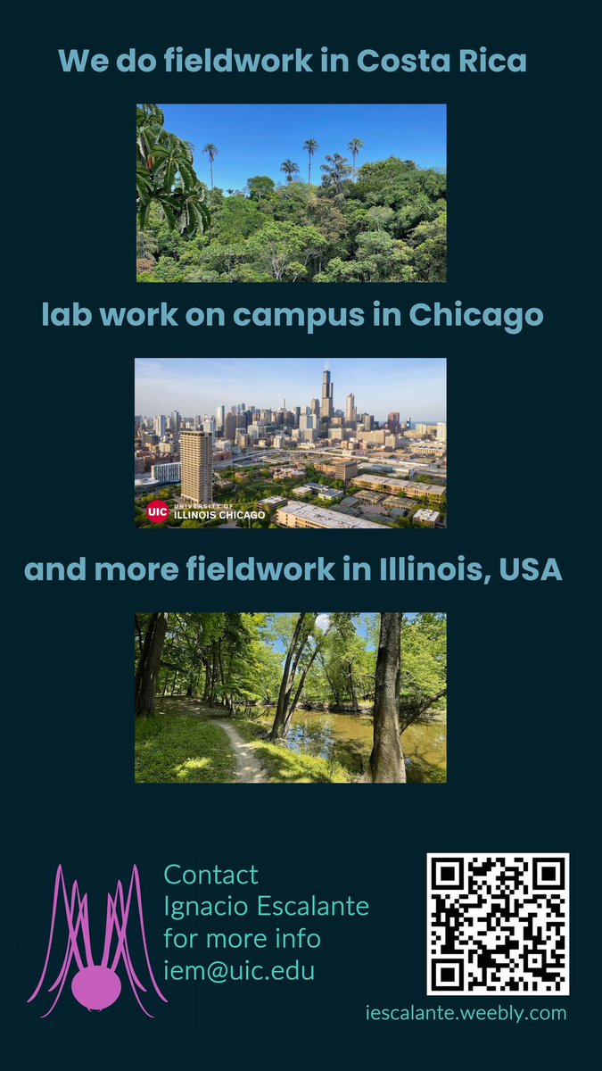 Ignacio Escalante (@randallignacio) on Twitter photo Great news: I’m opening a research group to study behavior, ecology, and biomechanics of Opiliones and other arthropods from Central and North America, and beyond (?). We’ll be based at <a href="/UIC_BioS/">UIC Department of Biological Sciences</a>
Contact me if you want to hear more! And feel free to spread the word.
Pura vida! Great news: I’m opening a research group to study behavior, ecology, and biomechanics of Opiliones and other arthropods from Central and North America, and beyond (?). We’ll be based at <a href="/UIC_BioS/">UIC Department of Biological Sciences</a>
Contact me if you want to hear more! And feel free to spread the word.
Pura vida!