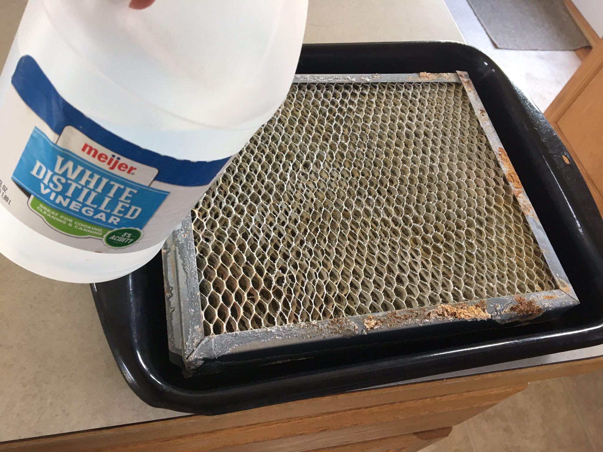 Cleaning humidifier 2024 with vinegar