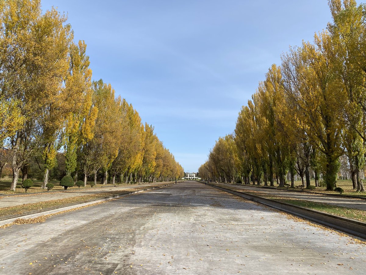 hyperultra's tweet photo. 前田森林公園運河の紅葉いい感じになってきたから色づくの楽しみにしてこの間行ったら運河の水抜いてるやん〜 https://t.co/cQZCi4N1Xp