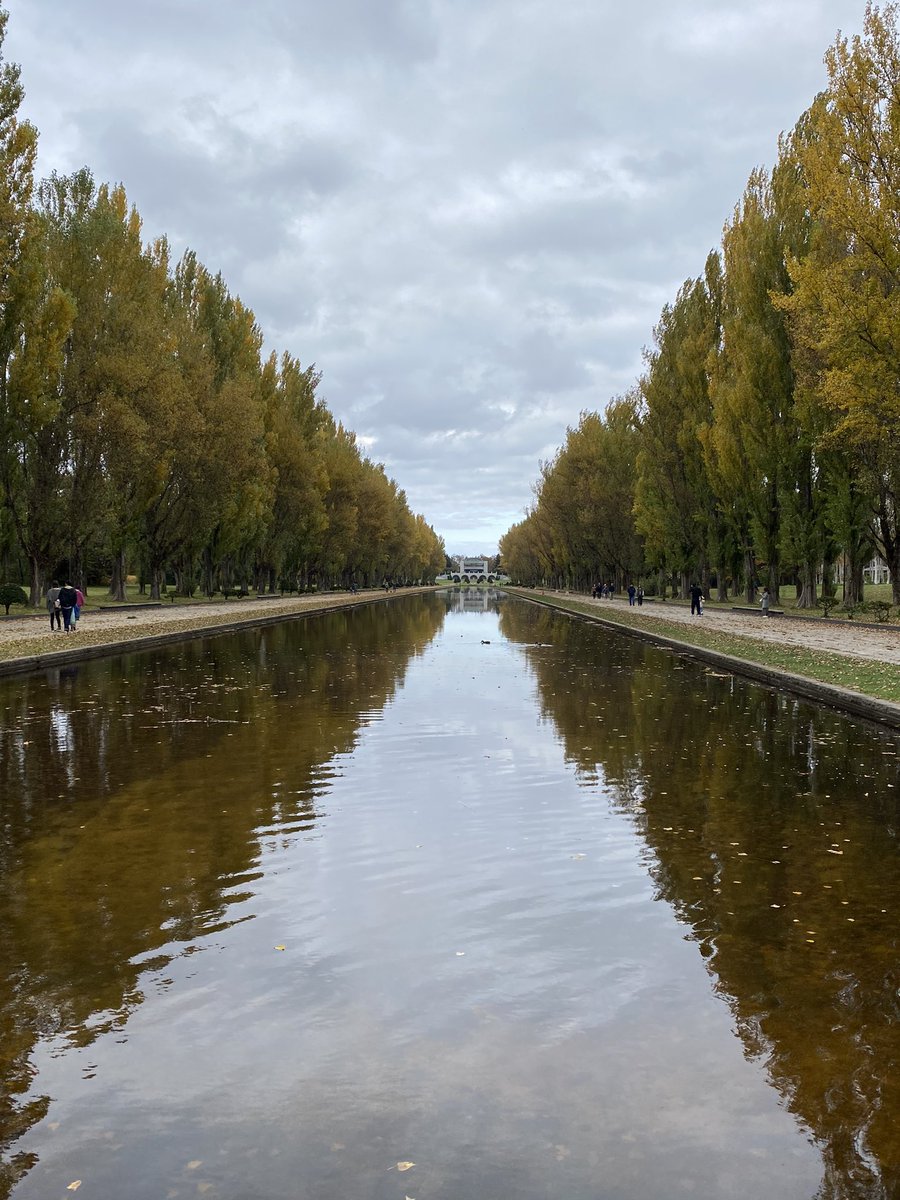 hyperultra's tweet photo. 前田森林公園運河の紅葉いい感じになってきたから色づくの楽しみにしてこの間行ったら運河の水抜いてるやん〜 https://t.co/cQZCi4N1Xp