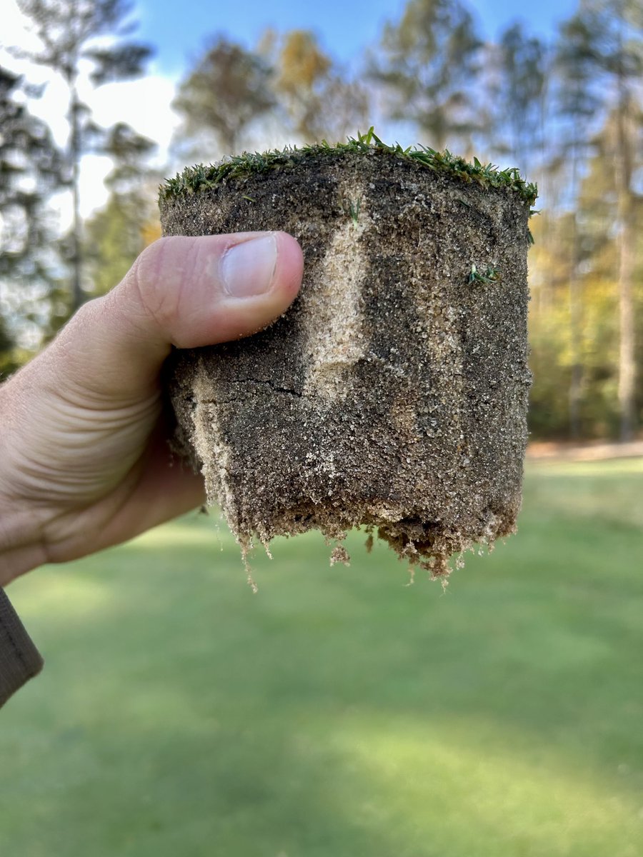 Fall golf is the best. The Bermuda is hanging on to color despite have a few frosty mornings and Bent is loving life being mowed tight <a href="/BrickshireGC/">Brickshire Golf Club</a> <a href="/allan_lumagui/">Allan Lumagui</a> <a href="/FoliarPak/">Foliar-Pak</a>