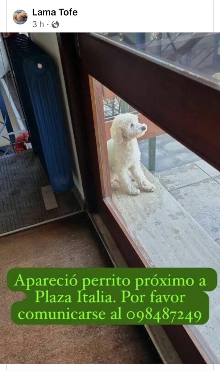 Adriana (@adriana43587622) on Twitter photo 