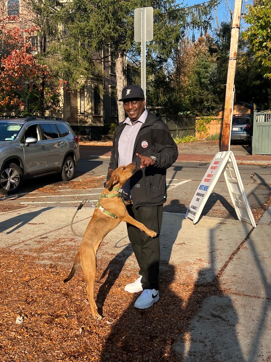 HardingCampaign tweet media