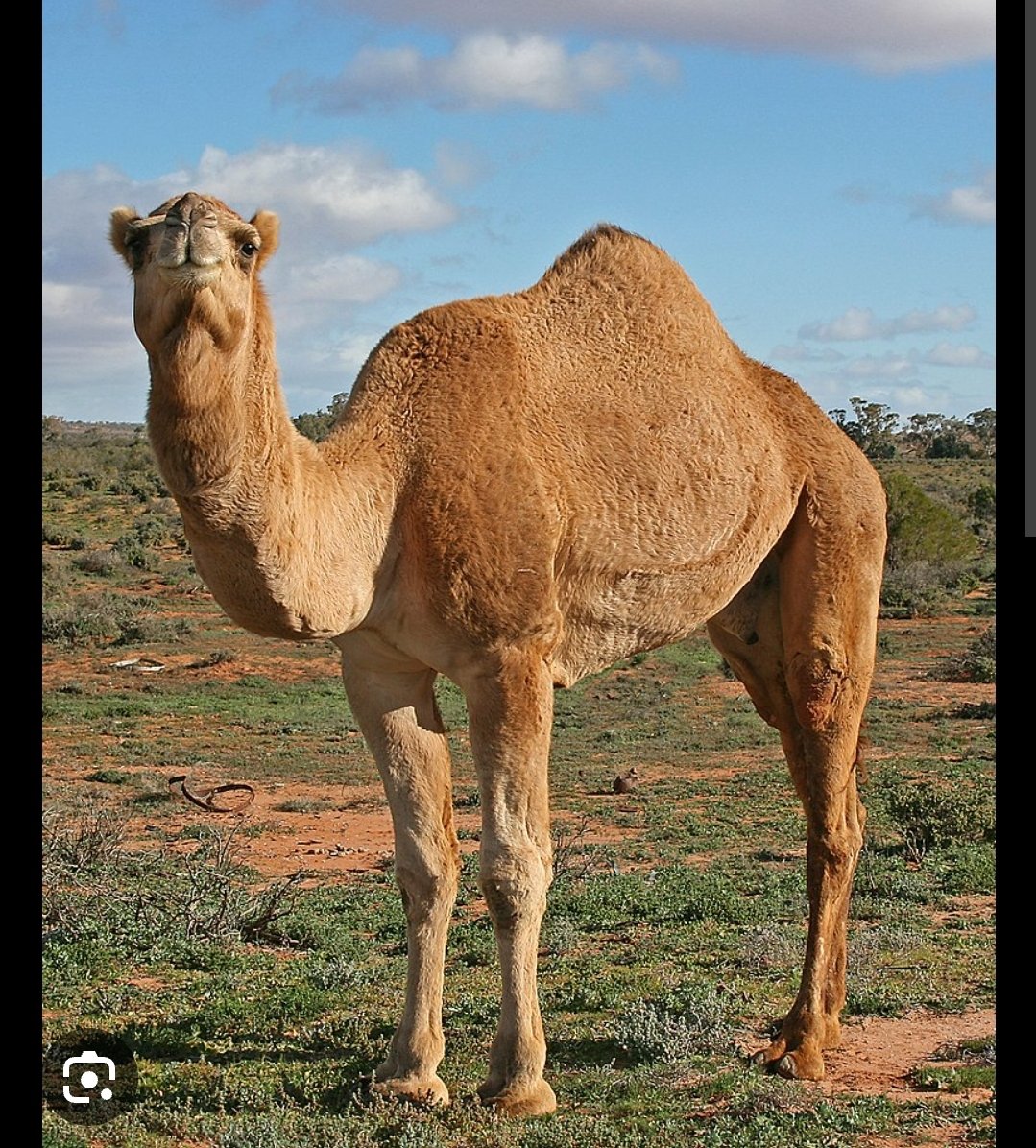 Kaya_gsah's tweet image. #boychallenge 😃😃😃