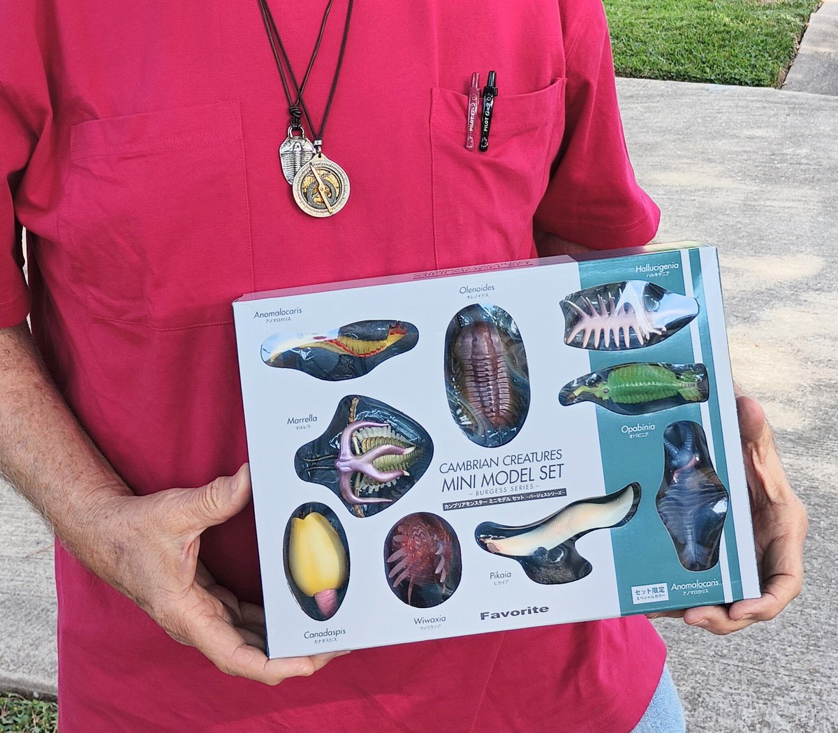 JohnRMoffitt's tweet image. I've recently acquired a set of models (manufactured in China) for 9 Cambrian animals, now extinct for about 520 million years.

A lot of ideas come to mind ... exploring the possibilities. All of these are present in Brian's Paleo Bay stories.

#TrilobiteTuesday
#FossilFriday