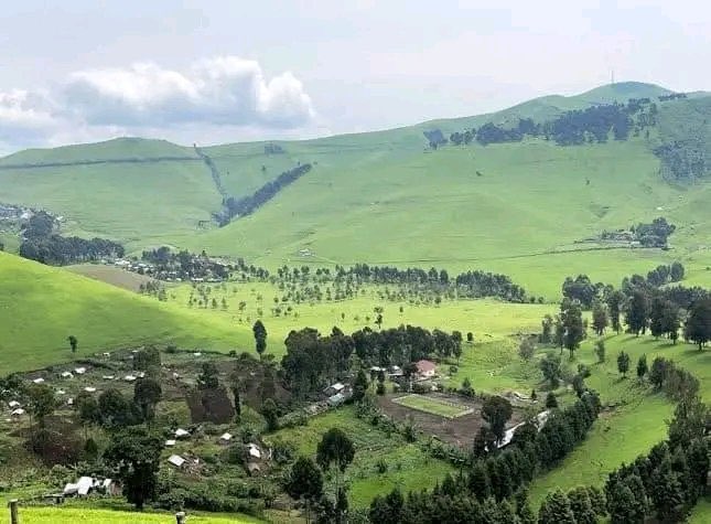 africa54infos's tweet photo. #RDC🇨🇩 affrontements ce mercredi dans le #Masisi approchant #Sake. Des sources locales affirment que ces combats se déroulent à #Tebero ,#Kirolwire dans le petit #Masisi proche de la cité stratégique de #Sake où la #monusco et les #FARDC ont lancé récemment l'opération 'Springbok https://t.co/LxT9rXUPh4