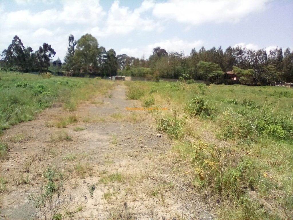 SimkarGroup's tweet image. 0.5-Acre Plots For Sale in Karen

Please see more details on our website using the link below: bit.ly/40npA5T

Call us at 0728 990415 and or +254 773 587 407

#propertiesinkaren  
#propertiesforsale