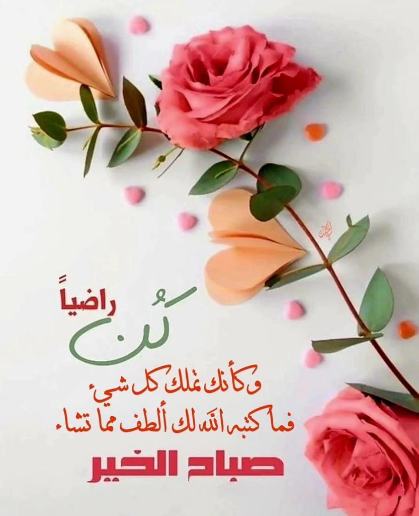 youareminespiri's tweet photo. استشعار المعنى في واقعك..

(ويمكرون ويمكر الله والله خير الماكرين)
لا يغرنك انتفاش الطفاء
ففي قمه ثقتهم
بالنصر يقلب الله الموازين
وتأتي الهزيمه من
حيث لم يحتسبوا.

الحمدلله دائماً وأبداً..

أسعد الله صباحكم بكل خير

صبااااااااح الورد والياسمين https://t.co/4PAxp7Gz6U