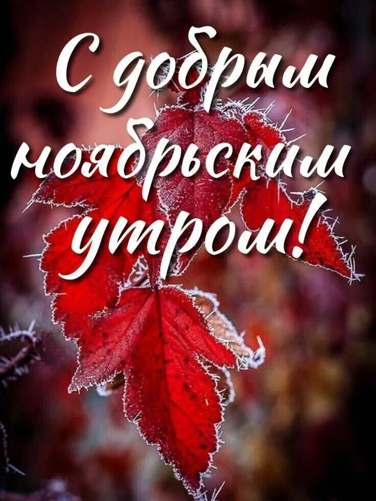 MAHMUDJON (@_karakartal1980) on Twitter photo 