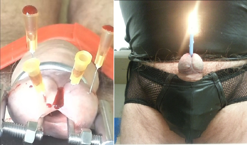 gentilmanfred tweet media