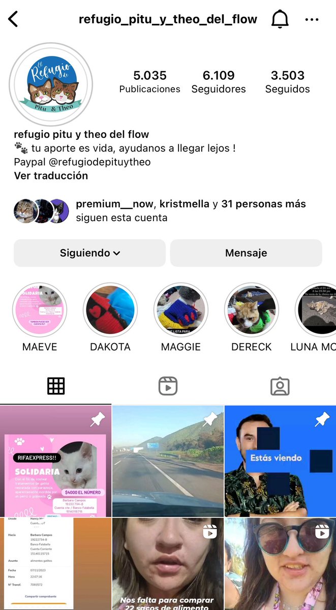 BrigadaCero's tweet photo. @leonardofarkas acudimos a ud para solicitar su ayuda. Este es un refugio de animales, que se especializa en gatitos parapléjicos, Bárbara quien los ayuda es sola con su mamá y sufren mucho porque la ayuda no llega, la situación es crítica. Se lo rogamos con todo el corazón 😭 https://t.co/yXPTPHiKG6