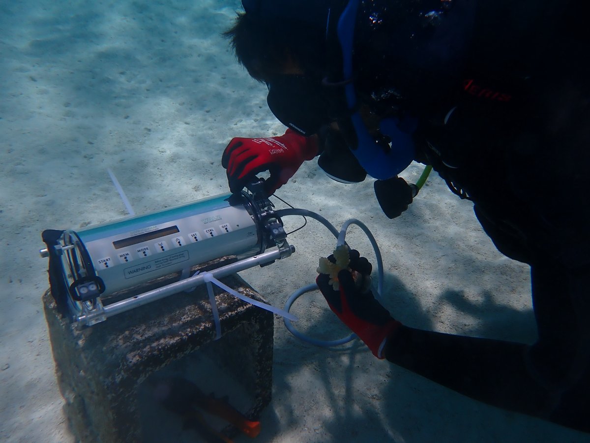 Another epic field season under way--lots of wind, rain, and data !!