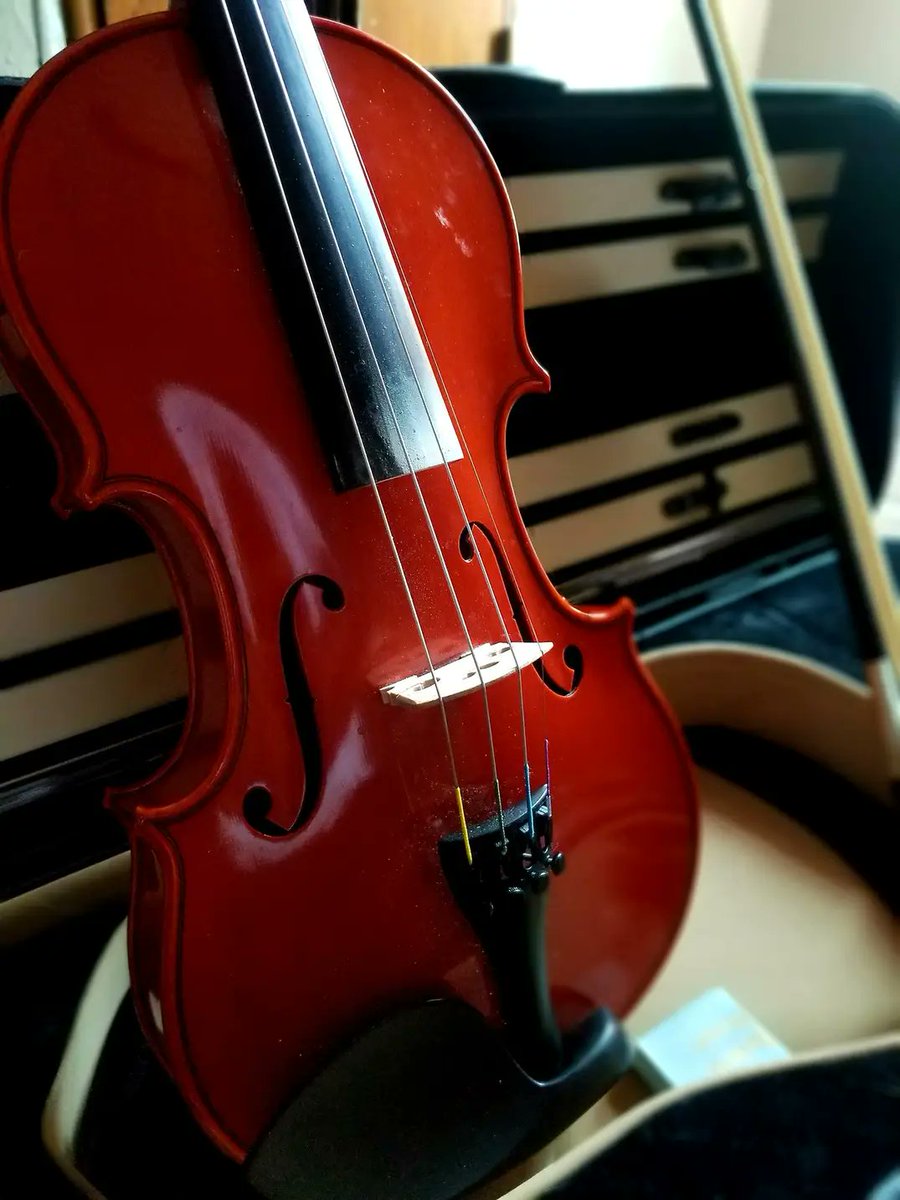 EricWright6's tweet photo. Tonight is a good night. Getting my Violin skills back up to the elite level,with my classical and electric. 🎻 Hopefully be ready for auditioning next year for some major orchestras!!!! Progress!!!! Ready to take my skills to the next level. #classicallytrained https://t.co/qmuiW80tDs