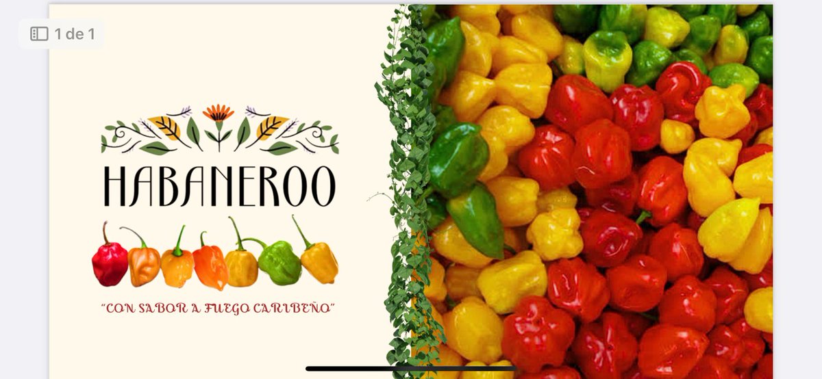 <a href="/omaralpuche/">omar alpuche leal</a> <a href="/chetubien/">Comunidad Chetubien</a> <a href="/diana_uan/">Diana Uan</a> <a href="/dafnheed/">Dafnhee del carmen</a> <a href="/LoriaNaidelyn/">Naidelyn Loria</a> <a href="/loriaedilbertoo/">Edy Loria</a> <a href="/RebecaTem/">Rebeca</a> <a href="/DianaEstefanaC6/">Diana Estefanía Coronado Ruíz</a> <a href="/nellymercedes5/">Nelly Aguiar</a> <a href="/jossulub/">Jose Sulub</a> <a href="/Oliver_mexmtz/">Oliver Diego Mex Martinez</a> Felicidades al <a href="/WChef_alonzo/">Chef Wilson Alonzo Baez</a> por conquistar con los sabores y olores de la cocina yucateca a los más exigentes paladares europeos. Ojalá nos comparta también su mejor versión de salsa  con el #ChileHabanero.
<a href="/LoriaNaidelyn/">Naidelyn Loria</a>
<a href="/loriaedilbertoo/">Edy Loria</a>
<a href="/diana_uan/">Diana Uan</a>
<a href="/dafnheed/">Dafnhee del carmen</a>
<a href="/DianaEstefanaC6/">Diana Estefanía Coronado Ruíz</a>