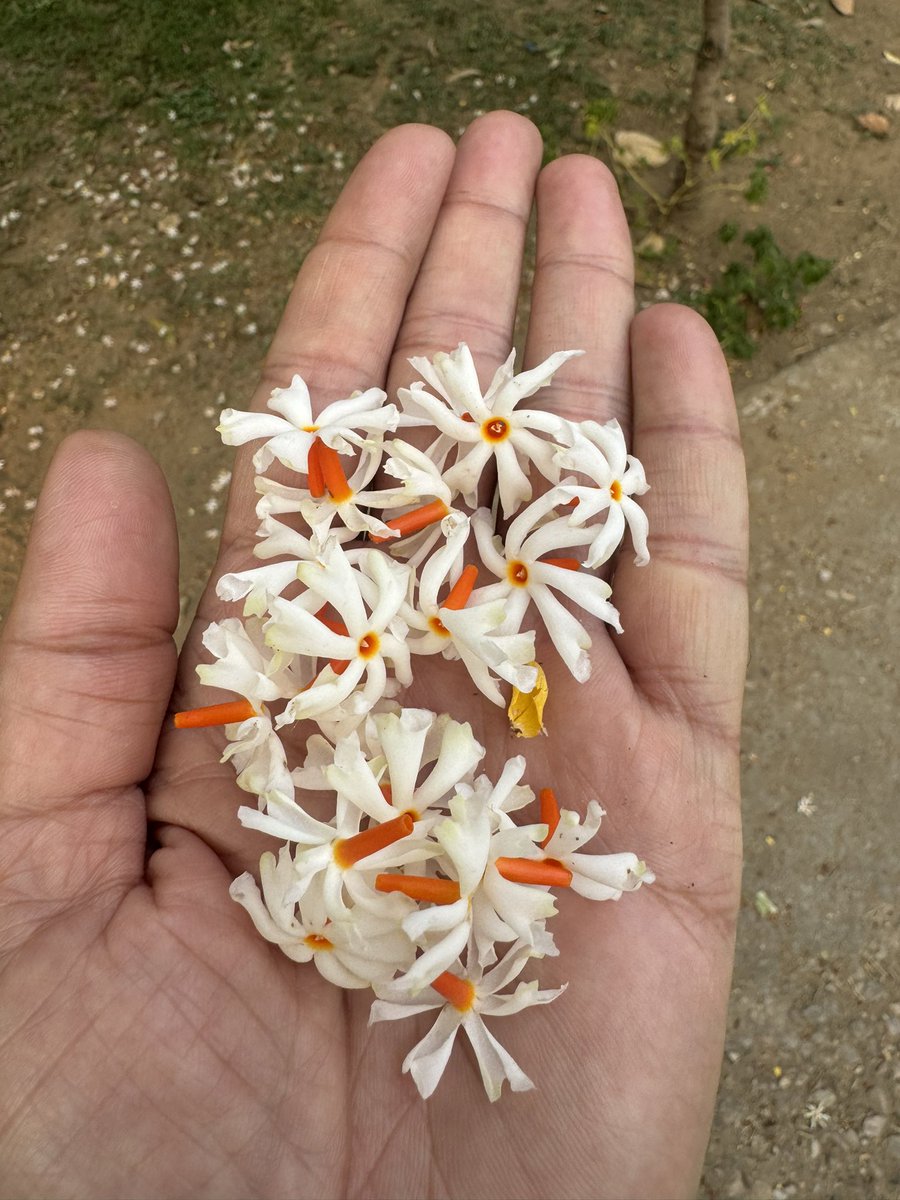 sitaramlamba's tweet photo. Good morning 😊
हर परिस्थिति में मुस्कुराते रहिए ! https://t.co/gYGvFaI2HE