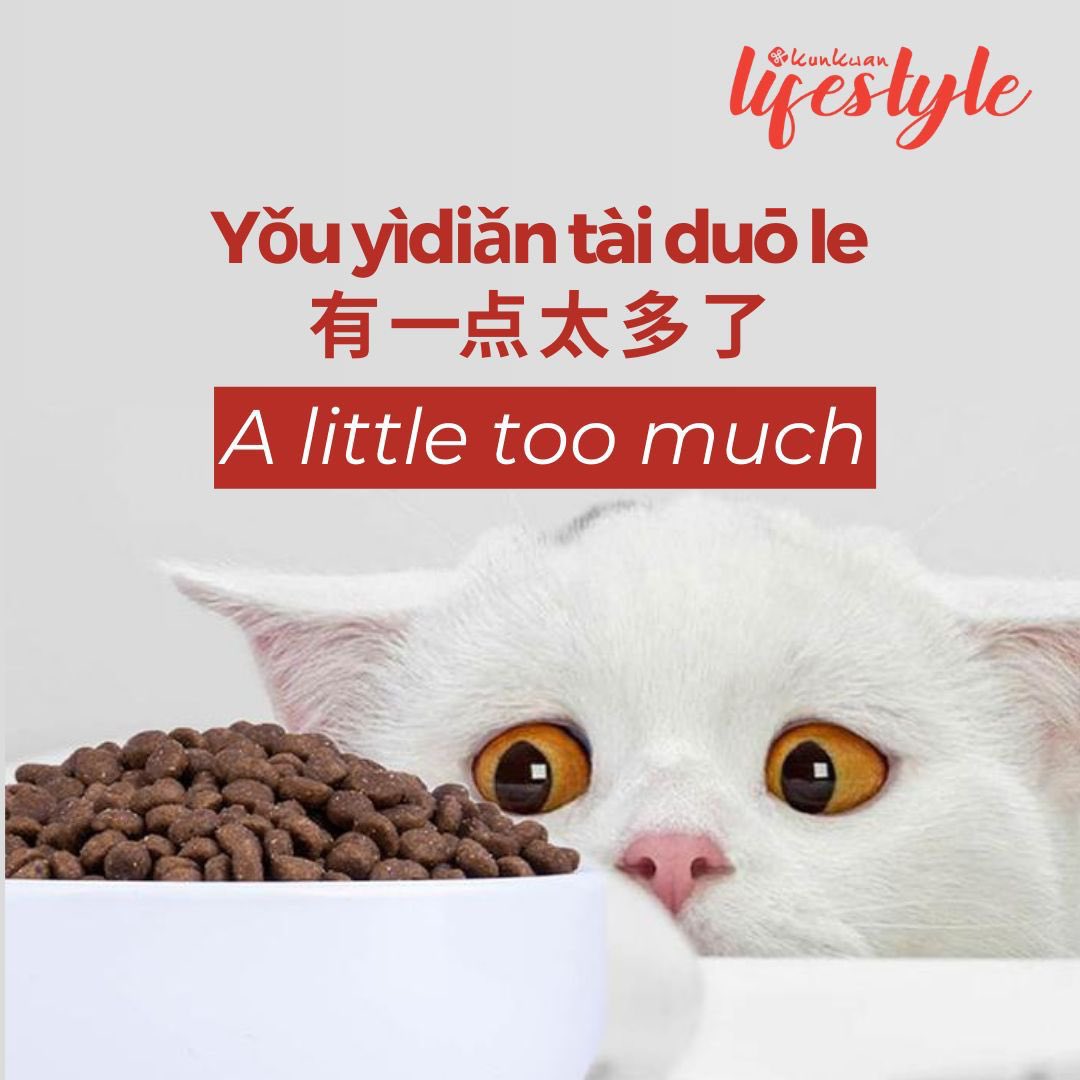 Tytyra_Laoshi's tweet image. Yǒu yìdiǎn tài duō le
有 一点 太 多 了
A little too much
🈶️🤏😦 🈶️🤏😦 🈶️🤏😦

yǒu🈶️有 = got / have
yìdiǎn🤏一点 = a little bit
tài 太 = too
duō 多 = many
le 了 = already

#AmazingMandarinConversation
#MandarinLearning
#KunkwanOnlineClass
#MandarinOnlineClass