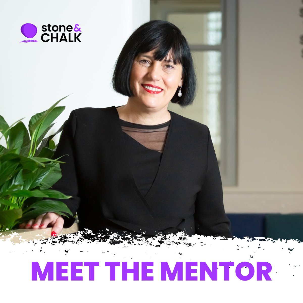 Stone & Chalk tweet media