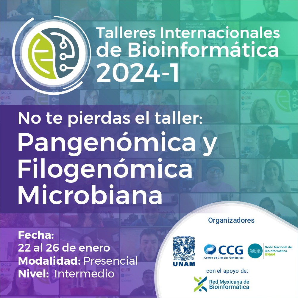 No te pierdas ninguno de los Talleres ¡Regístrate ya! Tenemos ᴄᴜᴘᴏ ʟɪᴍɪᴛᴀᴅᴏ 🕐

Liga del registro 👇
nnb.unam.mx/TIB2024-1/regi…
.
.
#RMB #ciencia #bioinformatics #genetica #biotecnology #cursos #bioinformatica