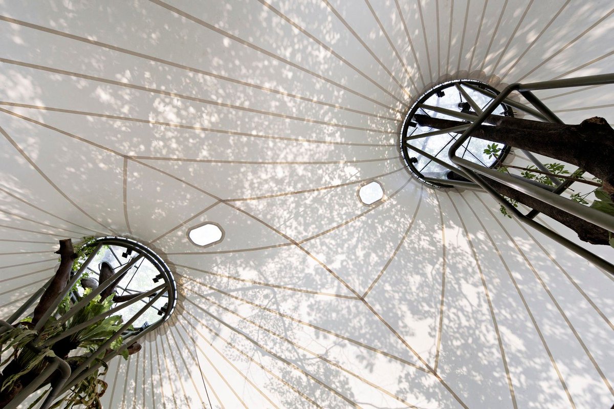 designboom's tweet image. #parametric tensile structure forms a multipurpose events space amongst trees in #jakarta 🌳