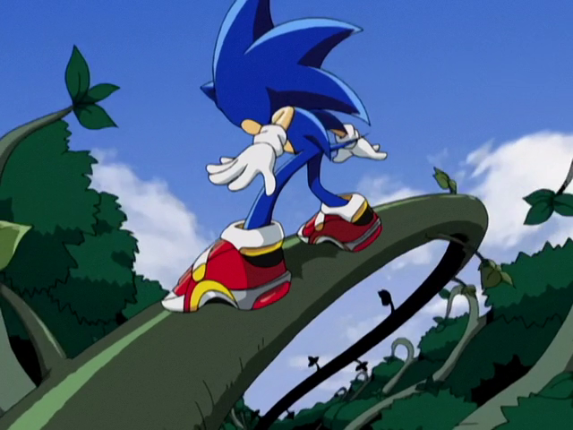 I need to watch sonic x agaun coz wait what soap shoes