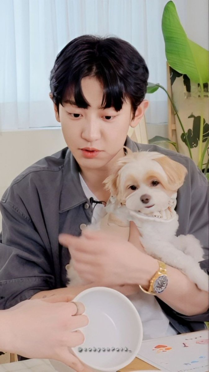 hourly chanyeol tweet media