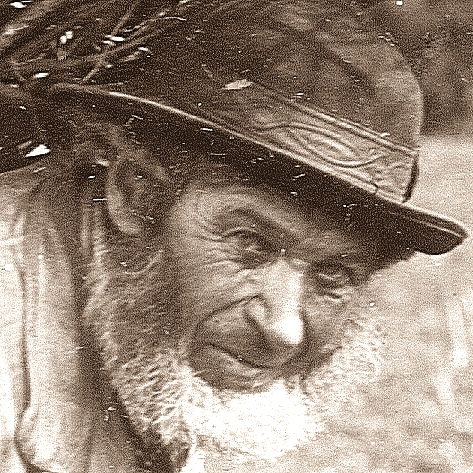 The face of Lot Long - as seen on the cover of Led Zeppelin IV, the original is now in <a href="/WiltshireMuseum/">Wiltshire Museum</a>