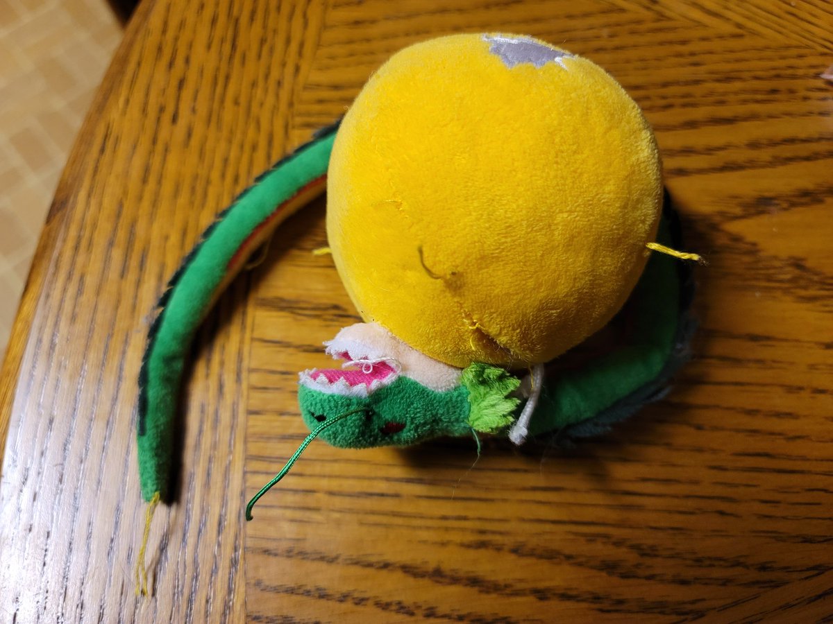 Snakeball is by far Schtinkendoggers favorite toy, but after over a year, he's not looking so good. Does anyone know where I can get another snakeball. It's pictured below (although originally snake was coiled around the ball)