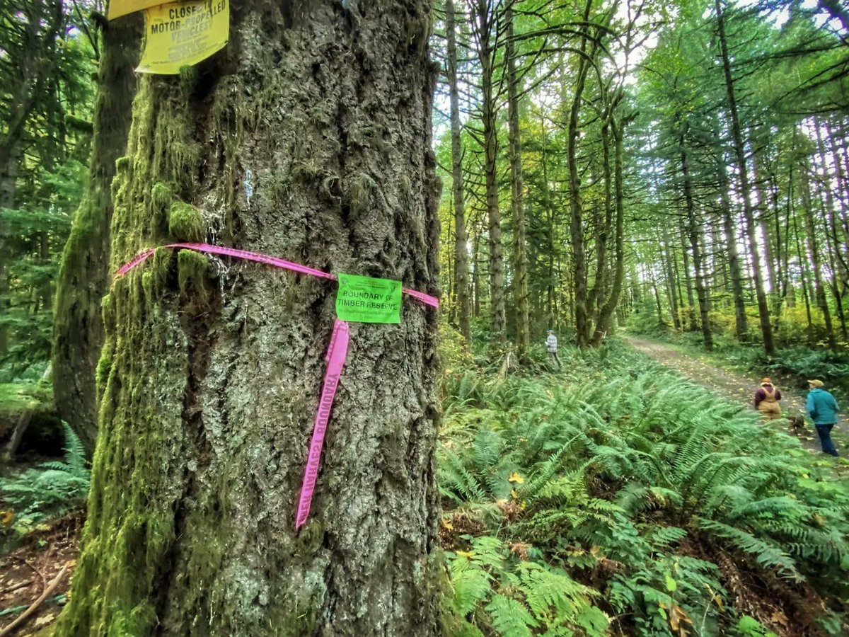 Zach Urness🏔️ tweet media