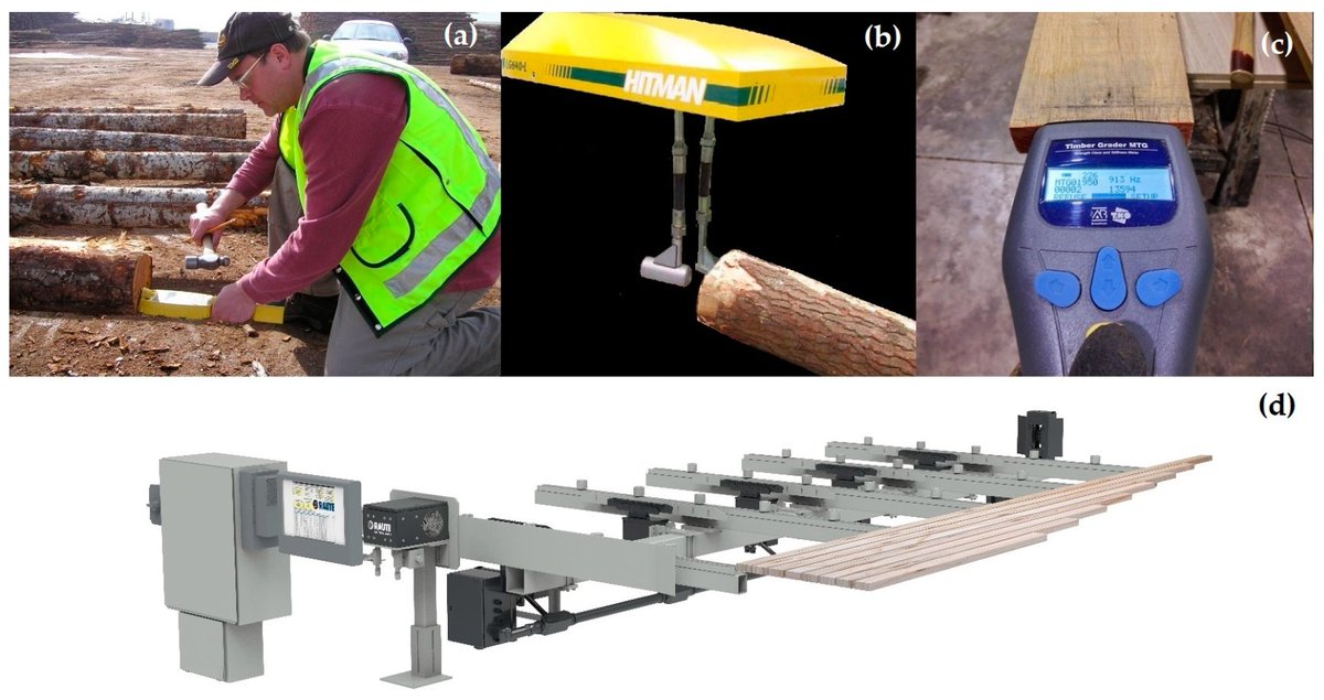 🌲 #Forests Title Story📙 Sharing:

🌳 Mechanical Properties of Wood: A Review,  written by Francisco Arriaga et al.

📒 Read more at 🔗 mdpi.com/1999-4907/14/6…

🌈 #durationofload #mechanicalproperties #nondestructivetesting #orthotropy #sizeeffect #standardisation #timber