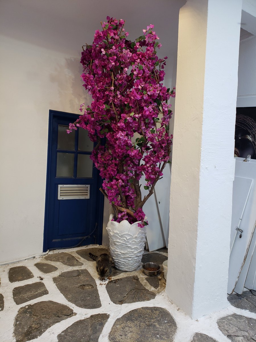 Daily Picture Theme tweet media