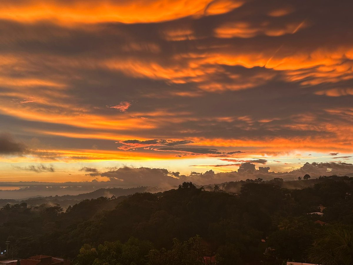 SivarNewsSV's tweet photo. 🇸🇻☁️SE REGISTRA FENÓMENO DE NUBES COLOR INTENSO EN EL SALVADOR 

Esta tarde, el cielo en algunas partes del país lució con nubes de varios tipos, como cumulonimbos, altocúmulos y altostratos, e incluso algunas protuberancias llamadas mamatus, informó el Ministerio de @MedioAmbienteSV. 

“Fue un espectáculo de colores gracias a la cálida luz del atardecer. Estas nubes se pueden formar antes, durante o después de las tormentas”, señaló la institución.