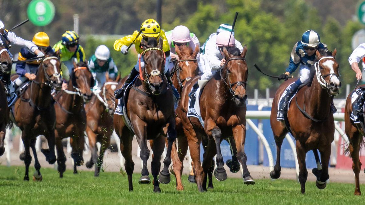 Irish Trainer Willie Mullins was very disappointed with the run of his pre-race Melbourne Cup favourite Vauban.

For full story, view link below.

jockeyhub.com.au/trainer-hub/wi…

#AusTrainerNews #TrainerNews #TrainerHubAustralia #AustralianHorseRacing #VICRacing #G1Racing #MelbourneCup