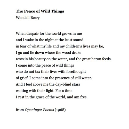 Wendell Berry