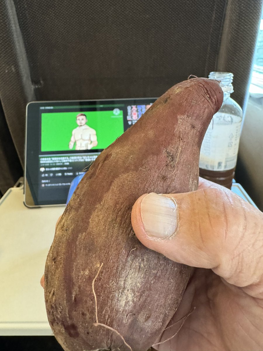shrekbonsai's tweet photo. #焼き芋ダイエット
#だら格 #SHOOTBOXING2023 https://t.co/BQSKy29tYo
