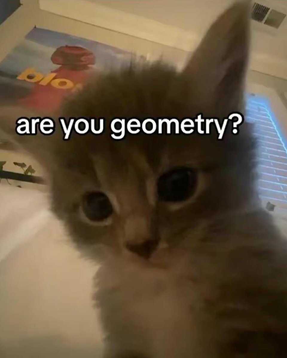 WeAssessCats's tweet photo. https://t.co/ARKqqZfrFB
