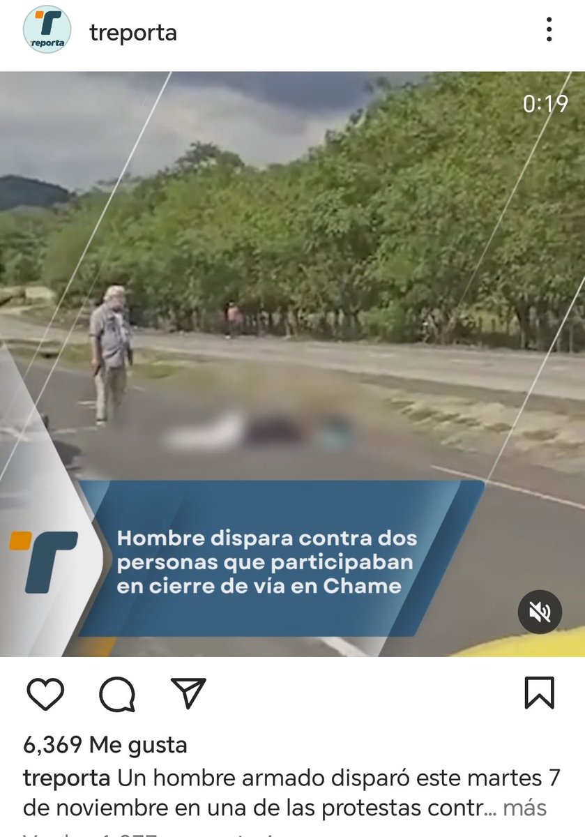 Miriam Lasso tweet media
